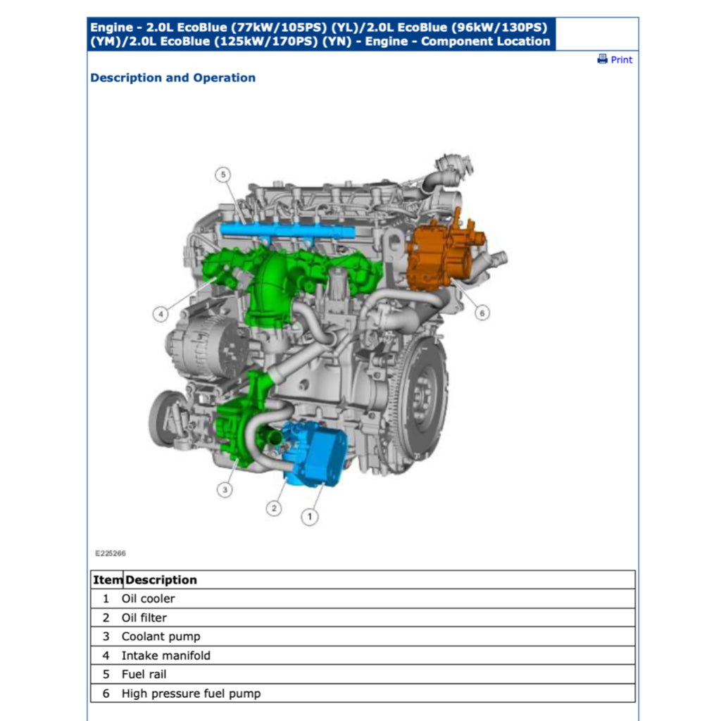 FORD RANGER T6.2 P703 2022+ Full Manual Set – Repair & Maintenance Manual